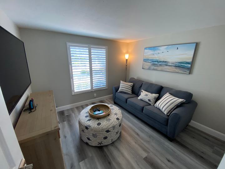 Den with TV